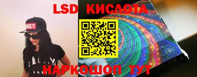 a pvp Новозыбков