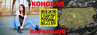 a pvp Новозыбков