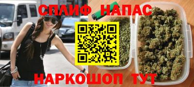 a pvp Новозыбков