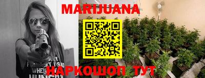 a pvp Новозыбков