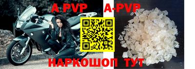 a pvp Новозыбков